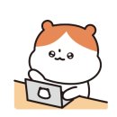 바오투어 이미지