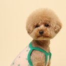 비커밍스튜디오 이미지