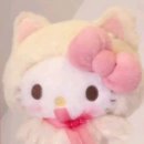 플로리아 이미지