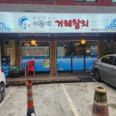 참치민족 이미지