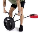 루트휘트니스 이미지