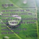로운헤어 이미지