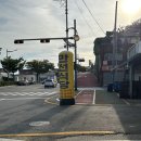 서산로 | 목포 만선 식당 부드럽고 고소한 송어회(밴댕이회) 진한 깊은 맛 우럭탕 후기