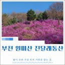 동산어린이집 | 부천 원미산 진달래동산 후기 2탄ㅣ두 아이와 다시 가보니 달라진 점 + 현실 동선·난이도 총정리