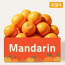 오렌지