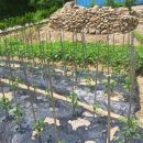 은향하늘채 이미지