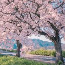 다비치 안경(순천점) 이미지