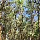 신산교차로 3 이미지