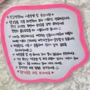 거제소품샵 거제데이트 하기 좋은 장승포 분홍따개비