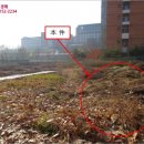 분당-392 이미지