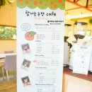 부자 농장 | 제주 쿠킹 클래스 감귤과즐 만들기 후기 탐나는농장 감귤체험카페