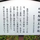 왕자사 이미지