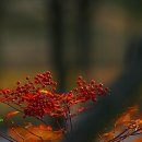 남천식품 이미지