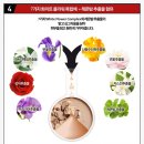 굿헬퍼 이미지
