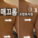 포항남부경찰서(292031) | 포항등관리 추천 매끄롬 포항효자점 테라노바 슬리밍 후기