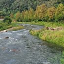 수입2교 이미지