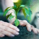 VISION 태양광발전소 이미지