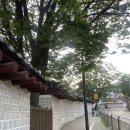 서촌등산로 | [서촌/경복궁역데이트] 인왕산 야등💛 술복궁 전맛집 추천 💛