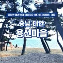 충남 태안 용신마을