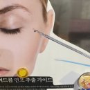 모범약초