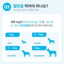 루스켄넬