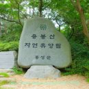 용봉사 입구 이미지