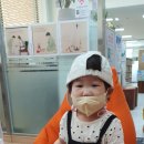 사랑나무가족도서관 이미지