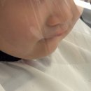 엄마랑 해피베베 15-29개월 | 881-890일 | 의정부 아기 미용실 추천, 아기 유산균 드시모네, 29개월 아기 언어 발달 도레미곰