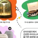 모아플라워 - 강동구 진황도로47길 73 | 모아플라워