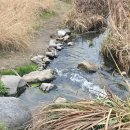 하천(비산대교) 이미지