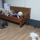 26년 (삼일절) 출석부 이미지
