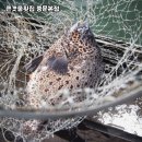 큰갯물횟집중문본점 네이버블로그