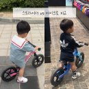 스트라이더 12인치 vs 마이크로 밸런스 바이크 비교 매장 공구 가격