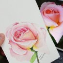 수채화캘리그라피 이미지