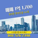 지성공인중개사사무소 이미지