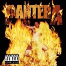 Reinventing the Steel ~ Pantera 이미지