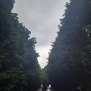 구도목장 이미지