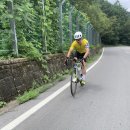 GS25 창녕군청점 네이버블로그