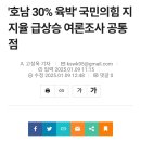 전남 2030이 탄핵반대 집회를 하고. 전라도에서 윤카 지지율 30%를 찍는 이유 이미지