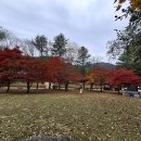 선도민박 | 괴산 단풍여행코스 / 화양구곡(계곡) &amp; 속리산국립공원 / 주차료 / 금성식당 &amp; 자연버섯찌개