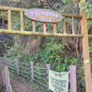 경동동물병원 | 그리고 갑차기스러운데 10월 취소해도 돼?