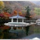 추령주유소 Daum카페
