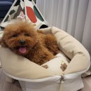 여기서 놀개 이미지