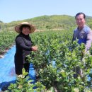 상곡리농장 이미지