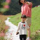 협동조합 공정여행 동네봄 | 동강 붉은 메밀꽃 축제 개화 상황 (10월11일 ver.), 주차정보, 주변 먹거리 공유