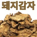 제천약초뜰 이미지