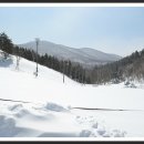 이리목장 이미지