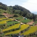 두모마을 이미지