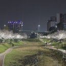 소리천로(2) 이미지