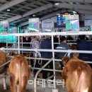 인제축산업협동조합